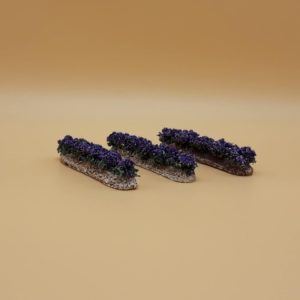 Pack de 3 rangées de lavandes