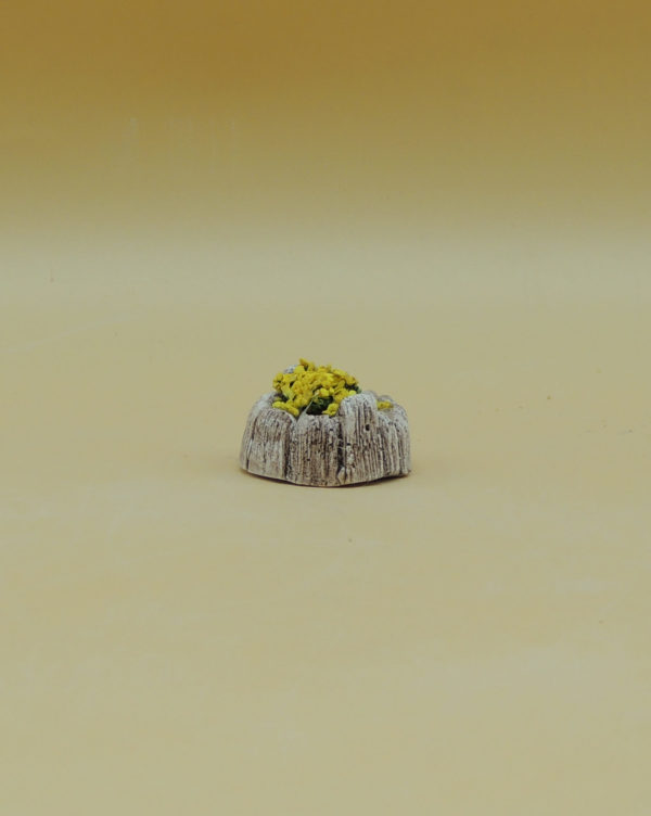 Jardinière cadeau – Image 4