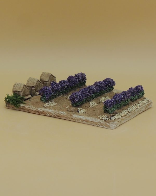 Champ de lavandes ruches – Image 2