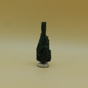 Cyprès miniature