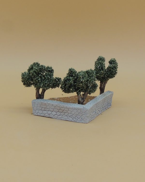 Placette oliviers – Image 2
