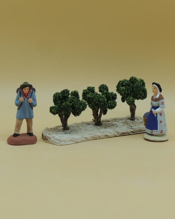 Décors pieds de vignes avec raisins